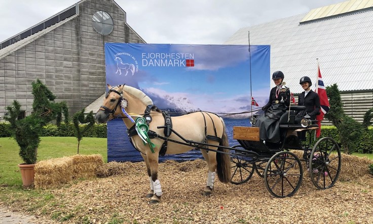 67554433_619552361901253_310164525024280576_n