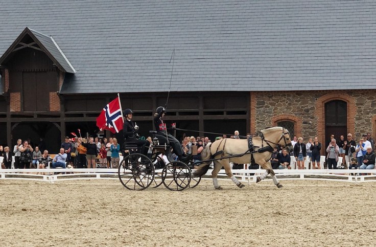 67778454_660488311121757_3167872464831119360_n