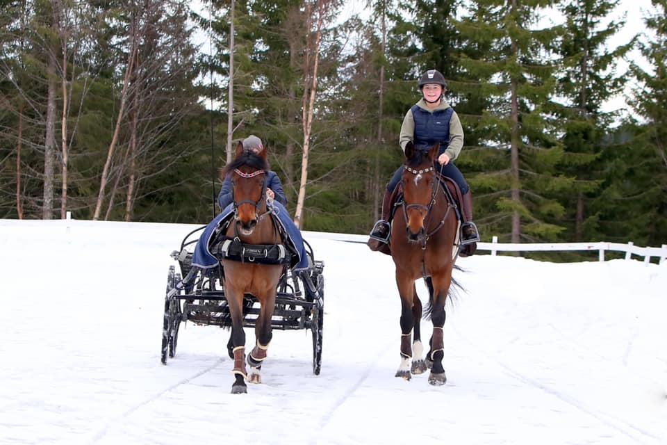 96377800_2012940218841272_5922339844792516608_n