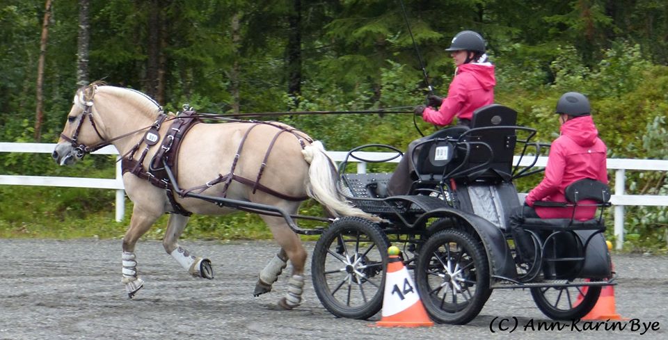 96586720_2012893102179317_8191098444220203008_o