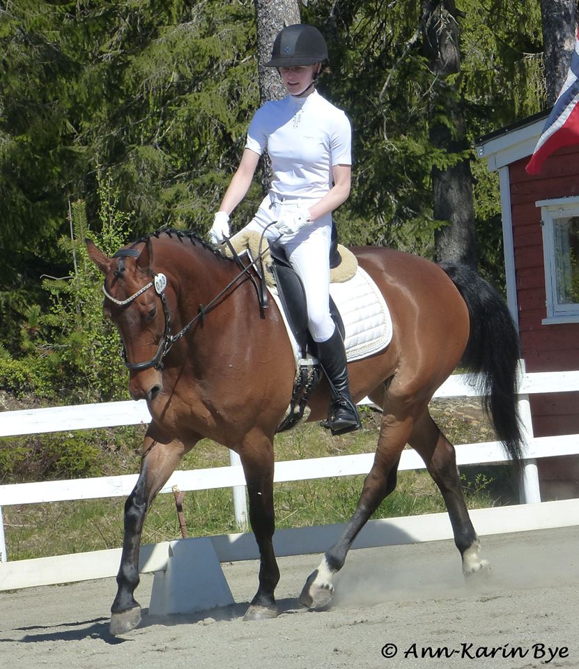 82273472_10157510888360829_8077919149663191040_o